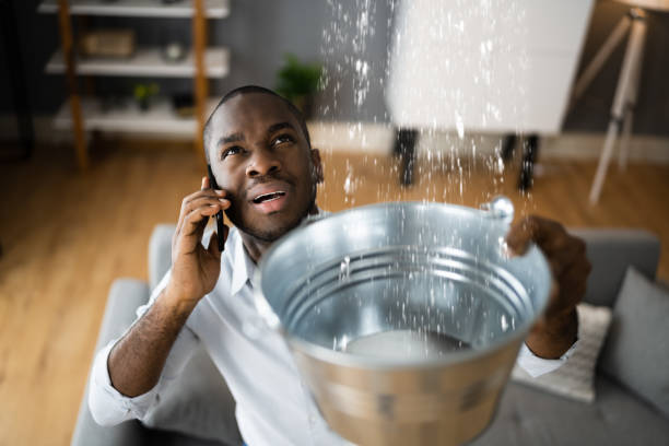 Best Basement water damage restoration  in Mcelhattan, PA