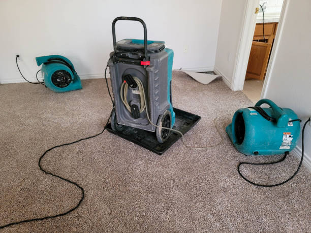 Best Flooded house restoration  in Mcelhattan, PA
