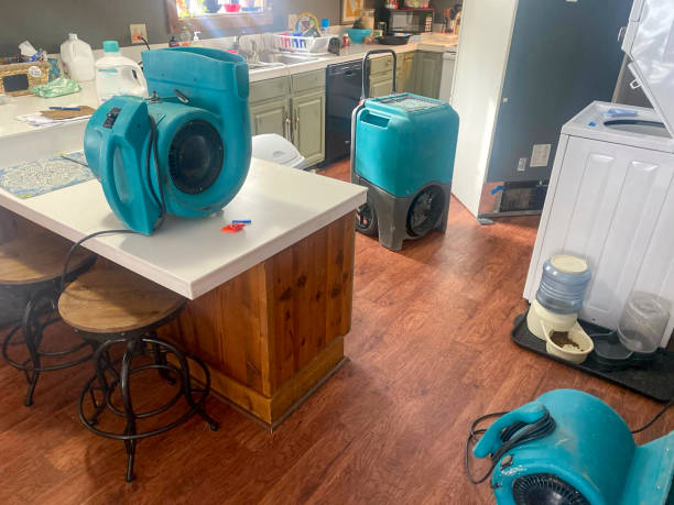 Best Residential water damage restoration  in Mcelhattan, PA