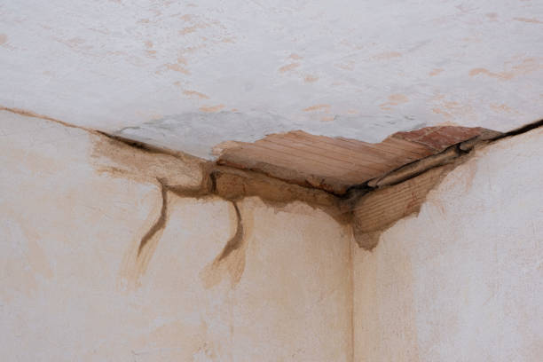 Best Emergency water damage restoration  in Mcelhattan, PA