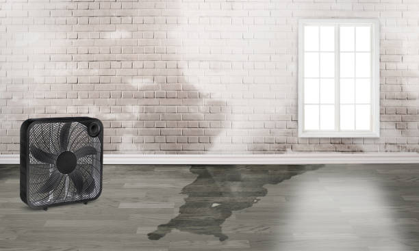 Best Fire Damage Restoration  in Mcelhattan, PA