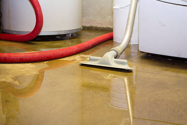 Best Local water damage restoration  in Mcelhattan, PA