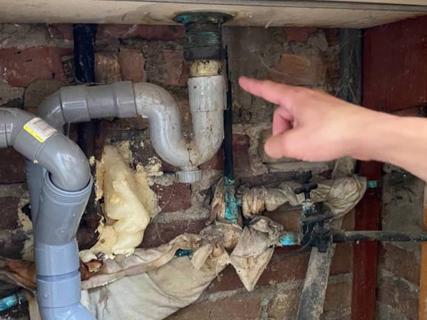 Best Sewage cleanup and water damage restoration  in Mcelhattan, PA