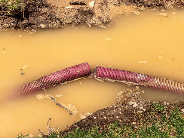 Best Water damage restoration near me  in Mcelhattan, PA