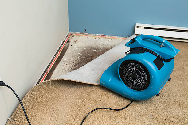 Best Water damage restoration near me  in Mcelhattan, PA